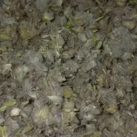 چایی درجه یک