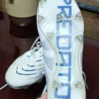 کفش فوتبال پردیتور|کیف، کفش، کمربند|مشهد, شهید رضوی|دیوار