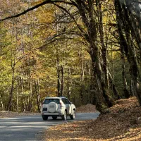 فروش ۲۵۰ متر زمین با جواز ساخت و بافت مسکونی کدیر|فروش زمین و ملک کلنگی|کجور, |دیوار