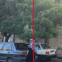 خانه ویلای|فروش خانه و ویلا|تفرش, |دیوار