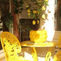 عکاسی فضای باز