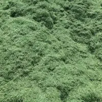 فروش یونجه