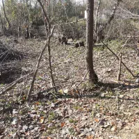 ۲۸۵متر زمین روستایی با نامه بنیاد|فروش زمین و ملک کلنگی|تهران, جنت‌آباد جنوبی|دیوار