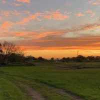 همخونه-میخوام-پسر-هستم-21-سالمه