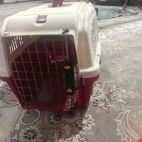 قفس جای گربه به همراه قاعده