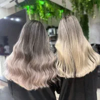 مرکز صافی و احیا بالای ۴۰۰۰هزار نمونه کار قم