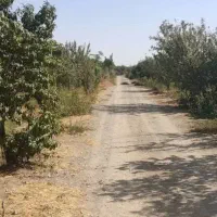 فروش-باغ-سیب-گلاب-با-موقعیت-گردشگری