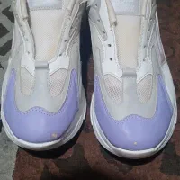 کفش و کتونی|کیف، کفش، کمربند|پرند, فاز ۲|دیوار