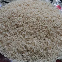 برنج هاشمی اصل وخوش پخت