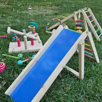 اسباب بازی مخصوص طوطی عروس هلندی برزیلی