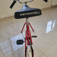 دوچرخه ثابت