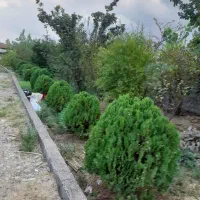 اجاره خانه ویلایی|اجارهٔ خانه و ویلا|رشت, لاکان|دیوار