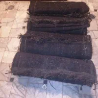 گدان و پلاس|گلیم، جاجیم، گبه|زاهدان, |دیوار