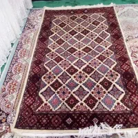 قالی دستبافت گل ابریشم|فرش|خزل, |دیوار