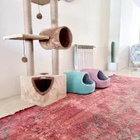 فروش وسایل گربه برند ninapet