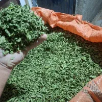 نعنا برگ ،نعنا بلغور ،شوید