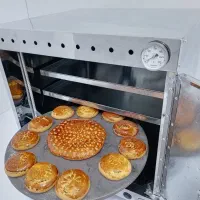 تنور همه چی پز