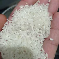 تنظیم بازار درجه یک