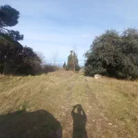 فروش-ویلا-باغ-ساحلی-اتوبان-تا-ساحل