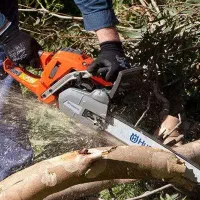 قطع درخت و خرید چوب درختان باغی در بابل وحومه هرس