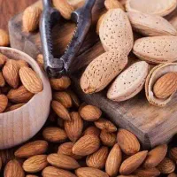 پارتنر برای ورزش
