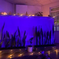 اجاره یک اتاق