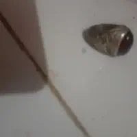 انگشتر عقیق یا یاقوت