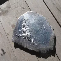 نقره قرص شاخ دار ساچمه