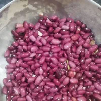 کود شیمیایی