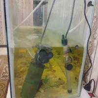 آکواریوم+ماهی و لوازم