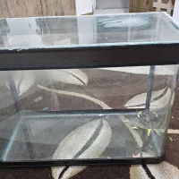 شیشه آکواریوم بزرگ