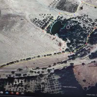 مشارکت در ساخت