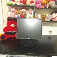 مانیتور و دوعدد سیم کابل