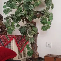 درختچه زینتی