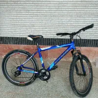 دوچرخه ویوا 26