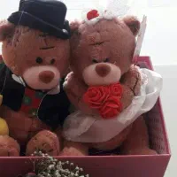 عروسک عروس و داماد
