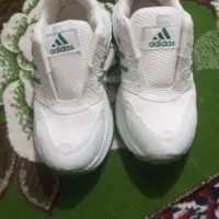 کفش آدیداس نو شماره39