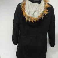 پالتو دو عدد