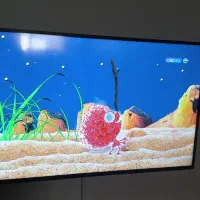 تلوزیون ۴۹ اینچ سینگل|تلویزیون و پروژکتور|محمدیه-قزوین, |دیوار