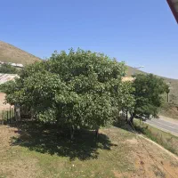 ویلا اجاره شبانه دوبلکس، با امکانات در دل کوهستان|اجارهٔ کوتاه‌مدت ویلا و باغ|دیلمان, |دیوار