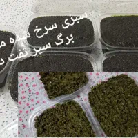 سبزی قورمه محلی، برگ سیرو..