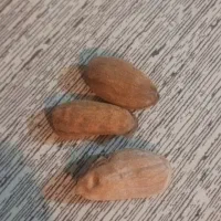 بادام شاهرودی سنگی