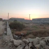 زمین-بوجیکدان