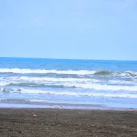 استخدام عکاس محیطی