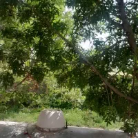 فروش خانه وویلا