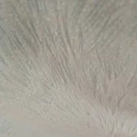 خط رند ایرانسل