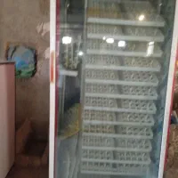 دستگاه تمام اتوماتیک جوجه کشی مشهد برق،واسکندری