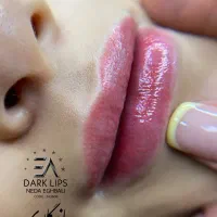 خدمات تخصصی زیبایی لب با متد ساکورالیپس در هنرستان