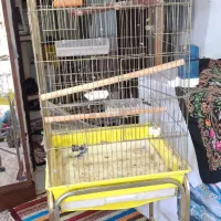 قفس بزرگ و تمیز