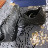 کفش چمن|کیف، کفش، کمربند|دهدشت, |دیوار